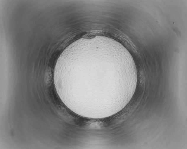 X0000115430073200912020933