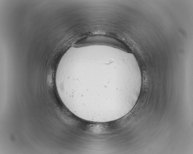 X0000115430074200912020933