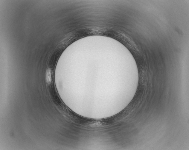 X0000115430075200912020933