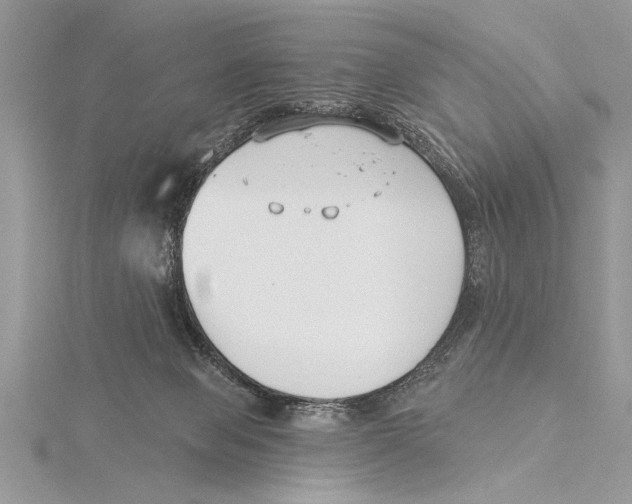 X0000115430077200912020933