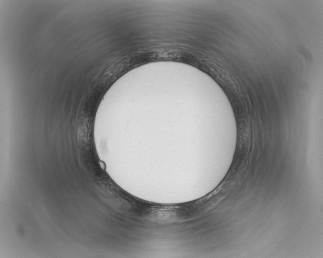 X0000115430078200912020933