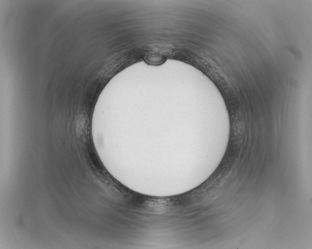 X0000115430079200912020933