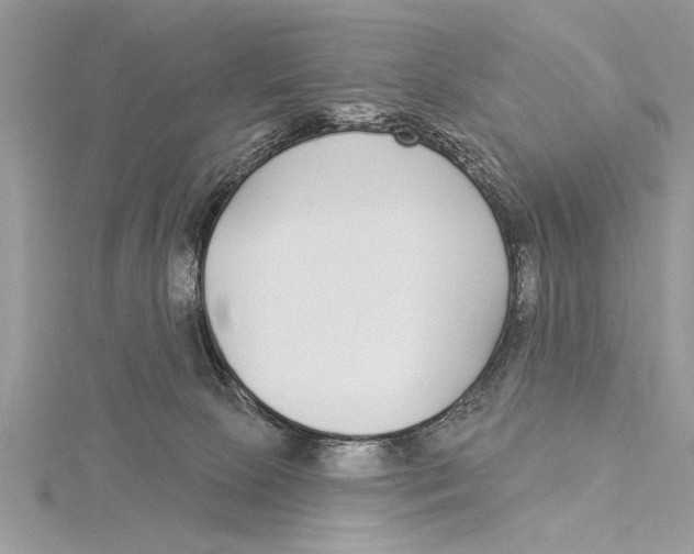 X0000115430081200912020933