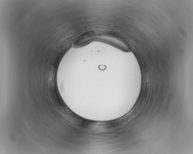 X0000115430082200912020933