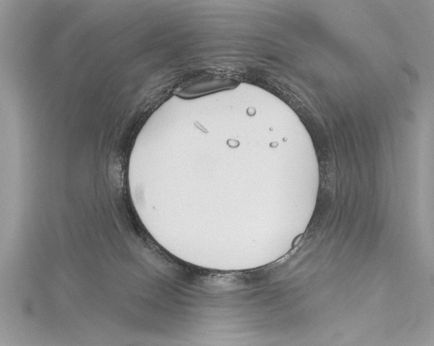 X0000115430086200912020933