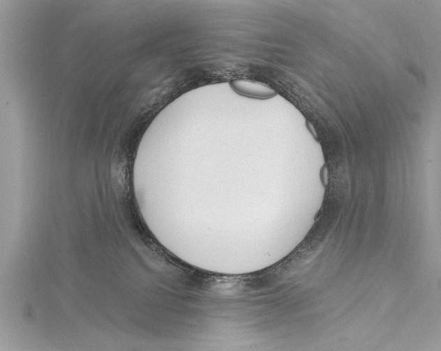 X0000115430088200912020933