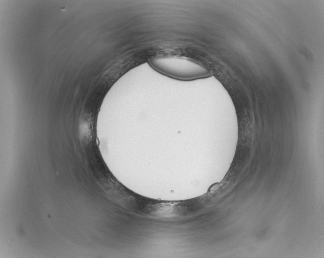 X0000115430090200912020933