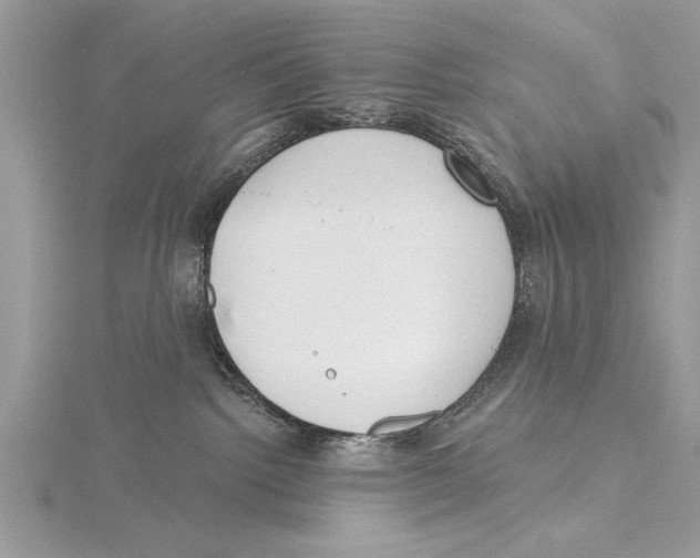 X0000115430092200912020933