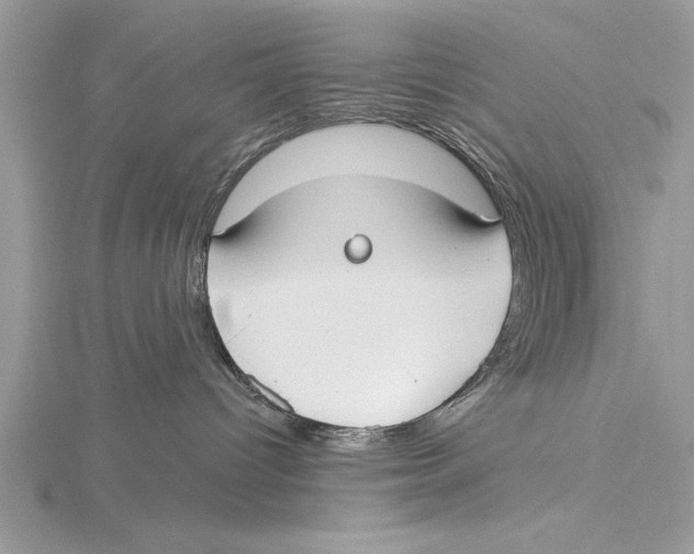 X0000115430096200912020933