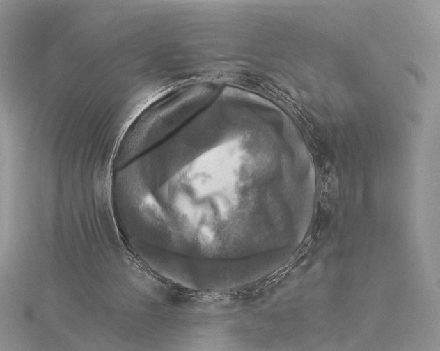 X0000115430100200912020932