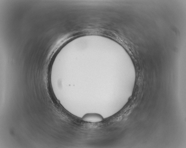 X0000115430103200912020932