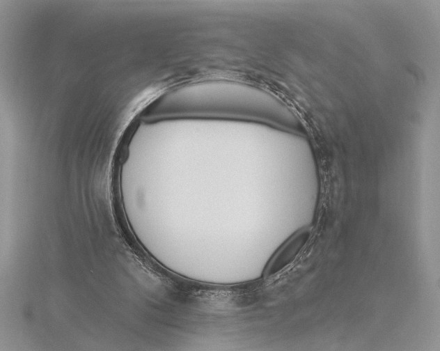 X0000115430104200912020932