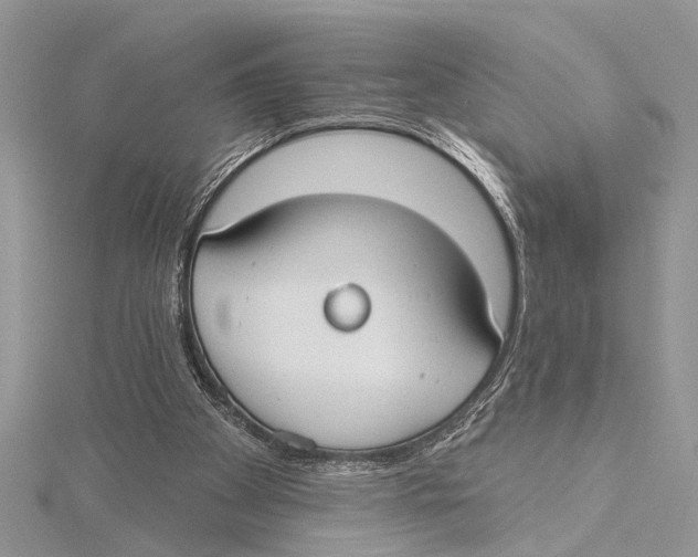 X0000115430105200912020932