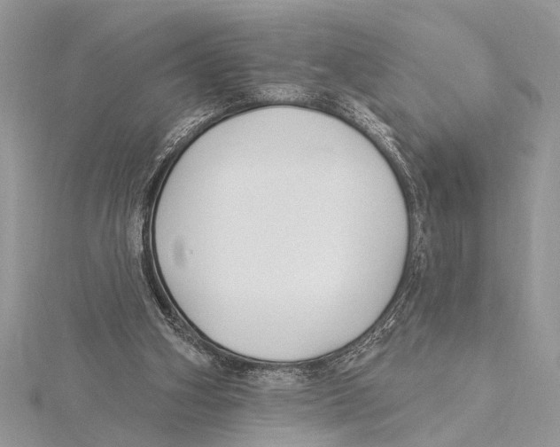 X0000115430106200912020932