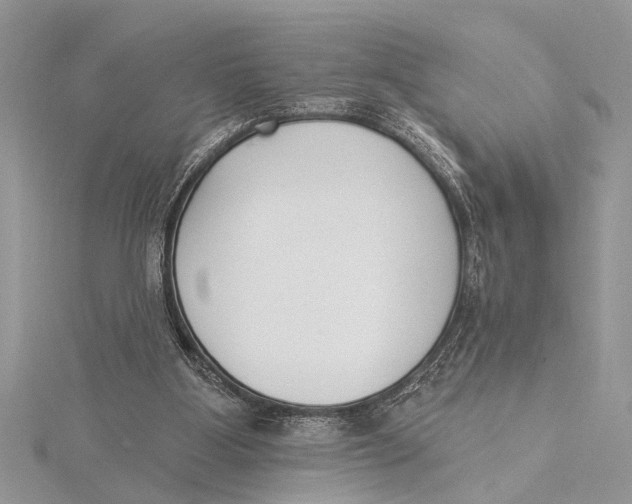 X0000115430107200912020932