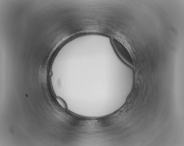 X0000115430108200912020932