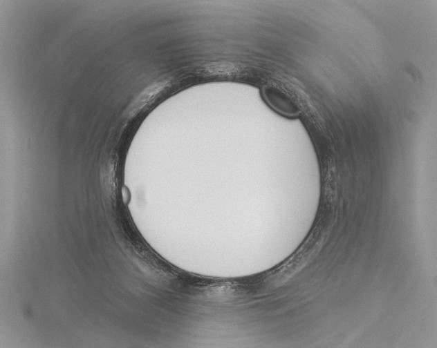 X0000115430116200912020932