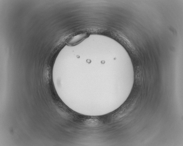 X0000115430119200912020932