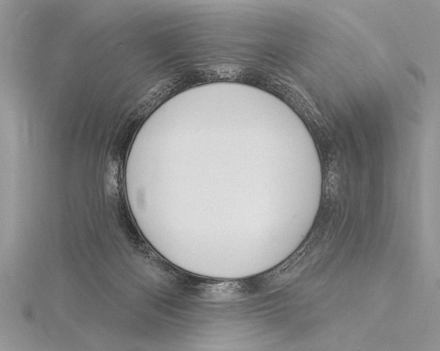 X0000115430122200912020932