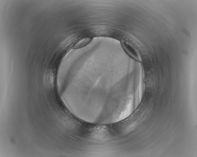 X0000115430124200912020932