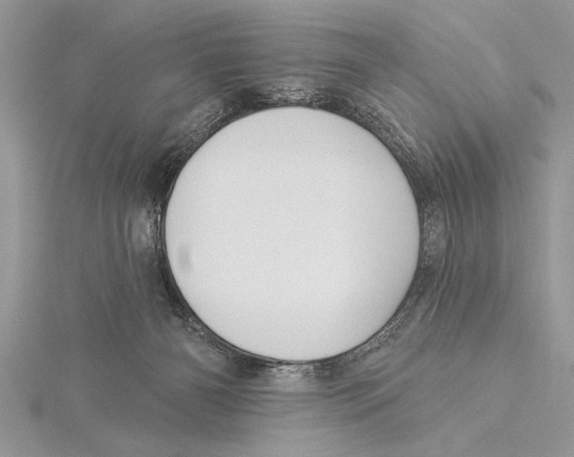 X0000115430126200912020932