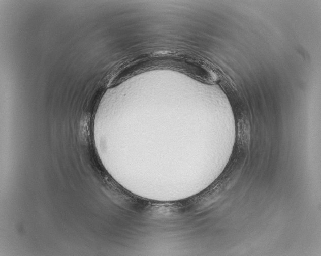 X0000115430127200912020932