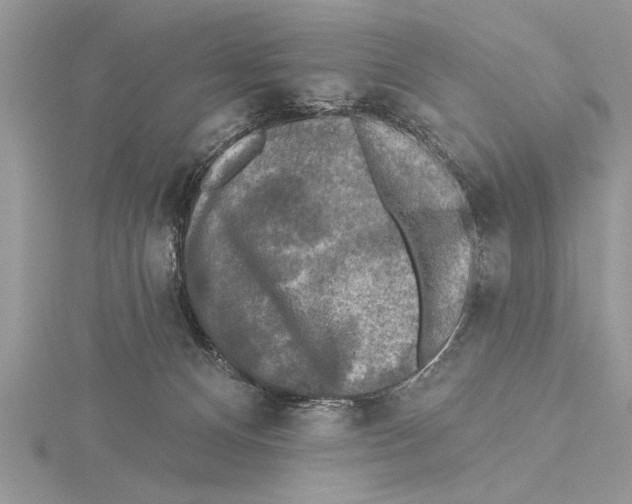 X0000115430128200912020932