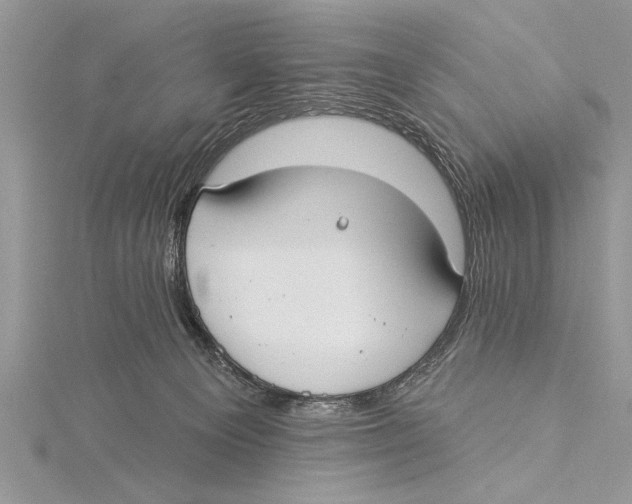 X0000115430129200912020932