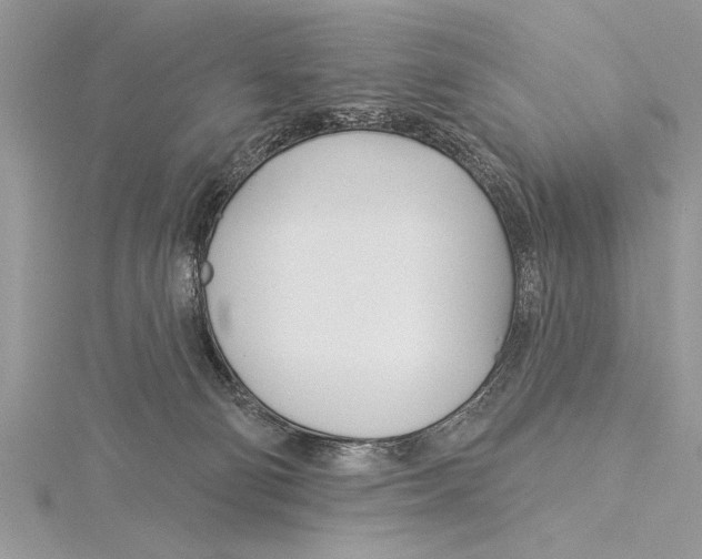 X0000115430130200912020932