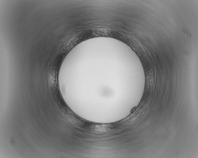 X0000115430134200912020932