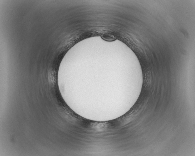 X0000115430135200912020932