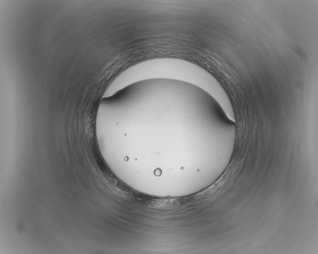 X0000115430136200912020932