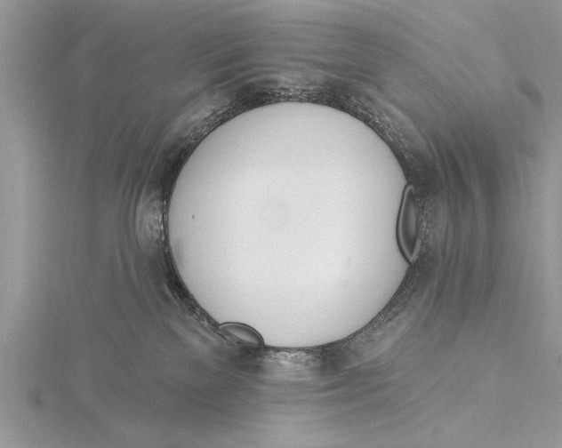 X0000115430137200912020932