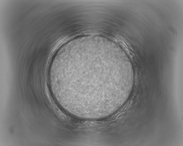 X0000115430145200912020931