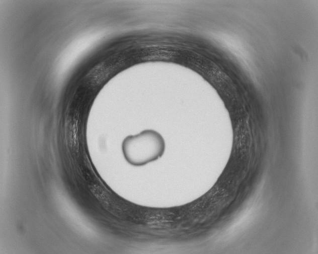 X0000115430146200912020931