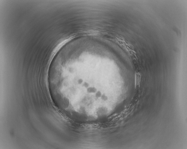 X0000115430147200912020931