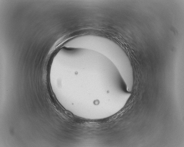 X0000115430150200912020931