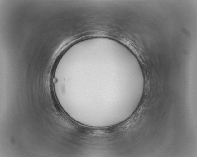 X0000115430151200912020931