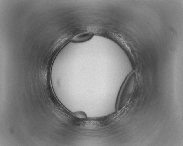 X0000115430154200912020931