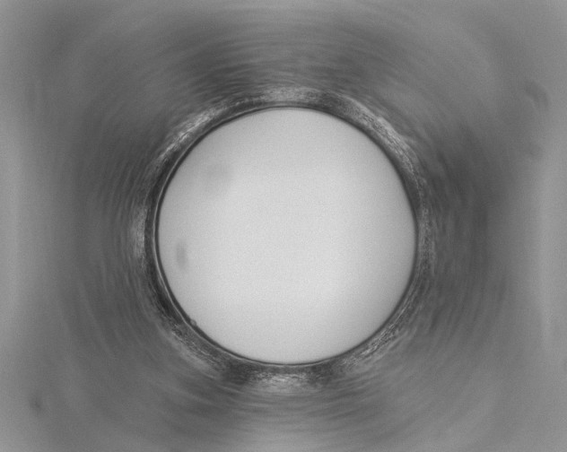 X0000115430155200912020931