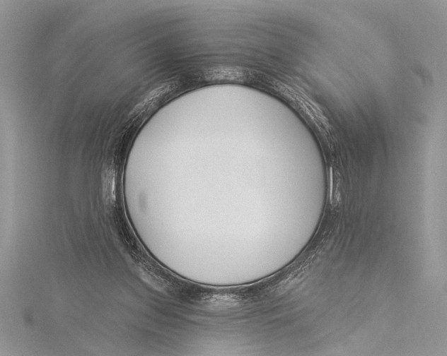 X0000115430157200912020931