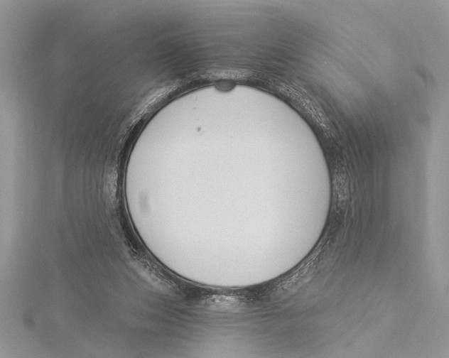 X0000115430159200912020931