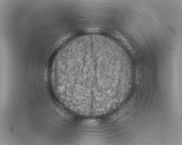 X0000115430161200912020931