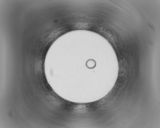 X0000115430162200912020931