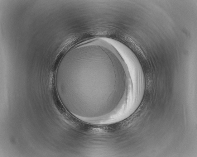 X0000115430167200912020931