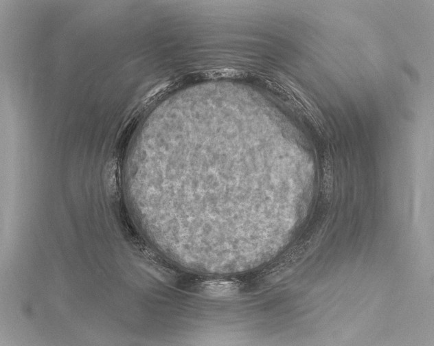 X0000115430169200912020931