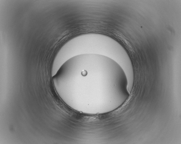 X0000115430170200912020931