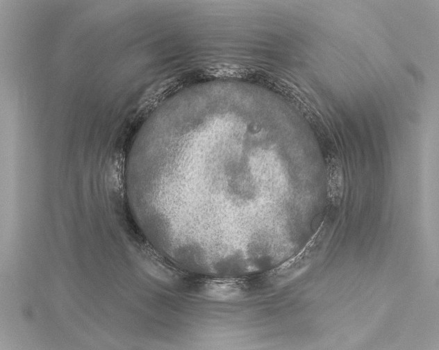 X0000115430175200912020932