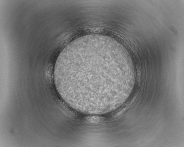 X0000115430181200912020932