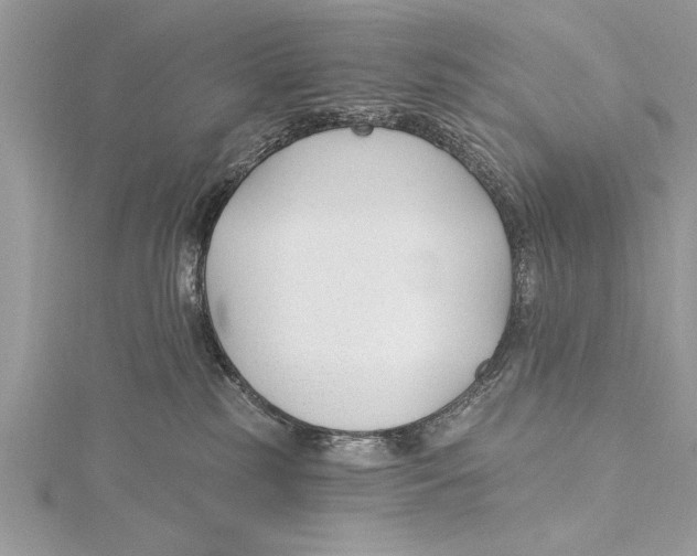 X0000115430185200912020932